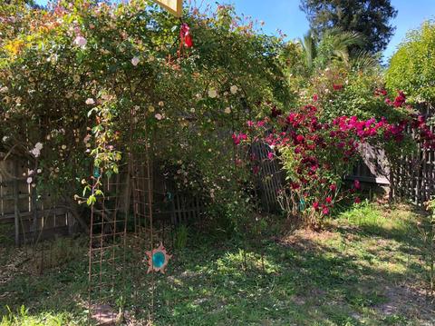 205 Dutton Ave, Sebastopol, CA 95472 photo 26