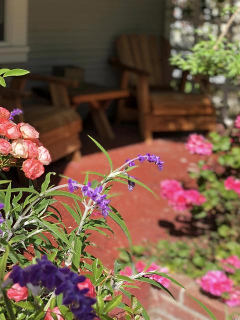 205 Dutton Ave, Sebastopol, CA 95472 photo 17