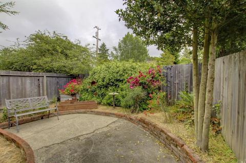 7401 Walnut Ln, Sebastopol, CA 95472 photo 23