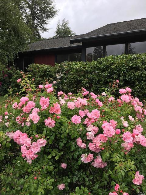 7401 Walnut Ln, Sebastopol, CA 95472 photo 25