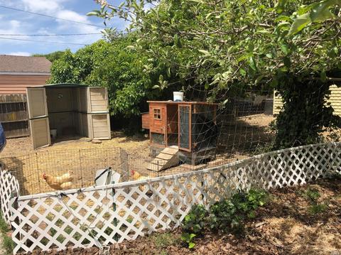 530 Jersey St, Vallejo, CA 94590 photo 23