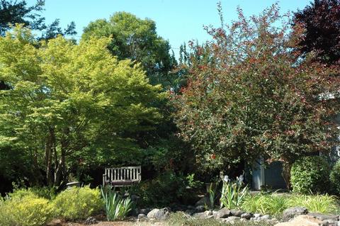 8671 Graton Rd, Sebastopol, CA 95472 photo 5