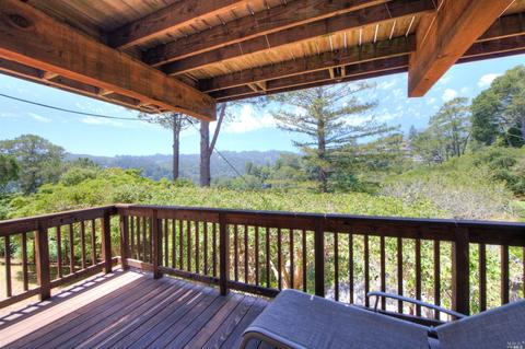 46 Elinor Ave, Mill Valley, CA 94941 photo 27