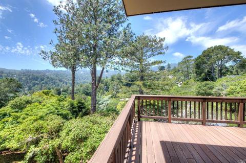 46 Elinor Ave, Mill Valley, CA 94941 photo 13