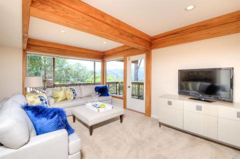 46 Elinor Ave, Mill Valley, CA 94941 photo 20