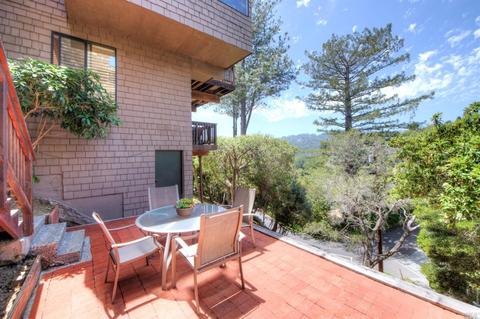 46 Elinor Ave, Mill Valley, CA 94941 photo 29