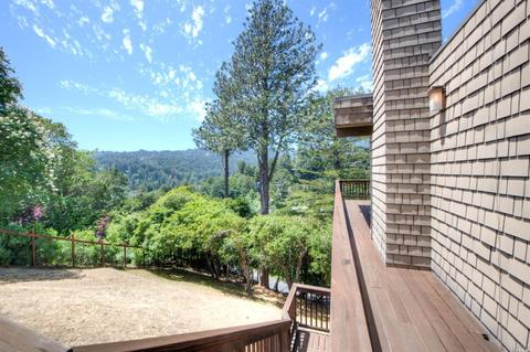 46 Elinor Ave, Mill Valley, CA 94941 photo 31
