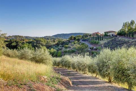 5180 Lovall Valley Loop Rd, Sonoma, CA 95476 photo 26