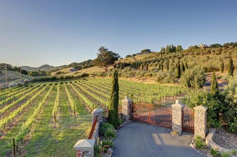 5180 Lovall Valley Loop Rd, Sonoma, CA 95476 photo 25