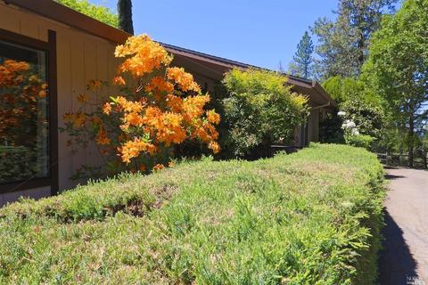 3551 Ridgewood Rd, Willits, CA 95490 photo 35