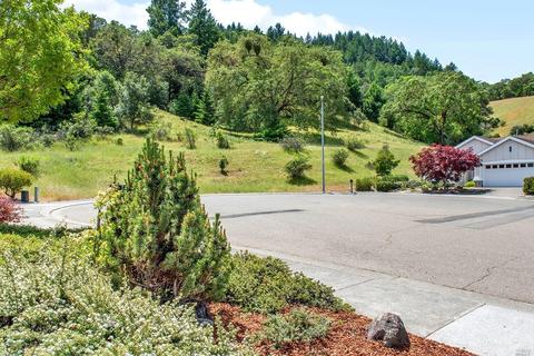 317 Rolling Hill Ct, Cloverdale, CA 95425 photo 27