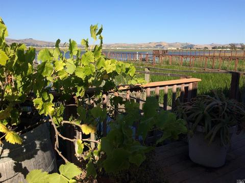 Undisclosed, Napa, CA 94559 photo 30