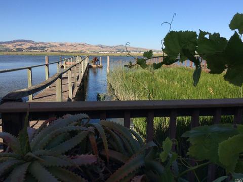 Undisclosed, Napa, CA 94559 photo 31