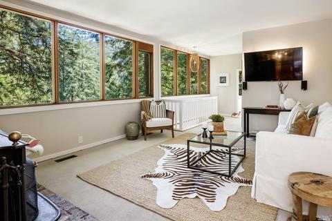 54 Magee Ave, Mill Valley, CA 94941 photo 4