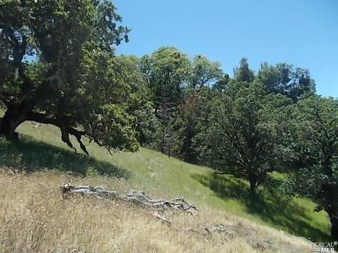 6000 Ridge Ranch Rd, Willits, CA 95490 photo 37