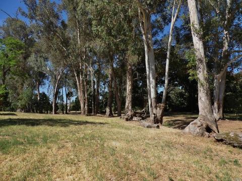 540 Peru Rd, Sonoma, CA 95476 photo 11
