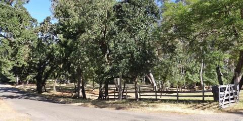 540 Peru Rd, Sonoma, CA 95476 photo 2