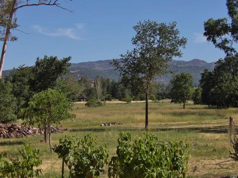 540 Peru Rd, Sonoma, CA 95476 photo 6