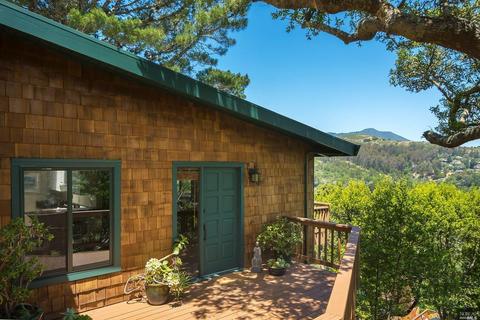 715 Cabin Dr, Mill Valley, CA 94941 photo 4