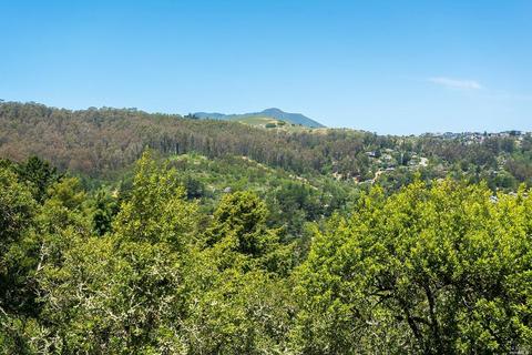 715 Cabin Dr, Mill Valley, CA 94941 photo 22