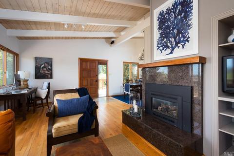 715 Cabin Dr, Mill Valley, CA 94941 photo 8