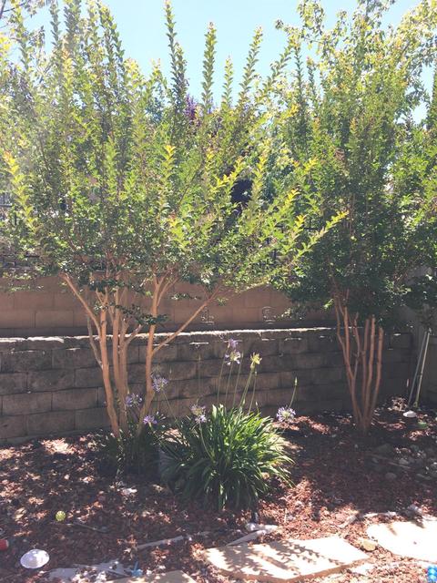 8315 Montiglio Ct, Vallejo, CA 94591 photo 12