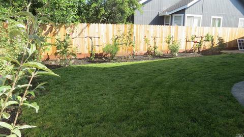 6177 Marsi Ct, Windsor, CA 95492 photo 25