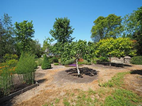 6700-6702 Madrone Pl, Cotati, CA 94931 photo 39