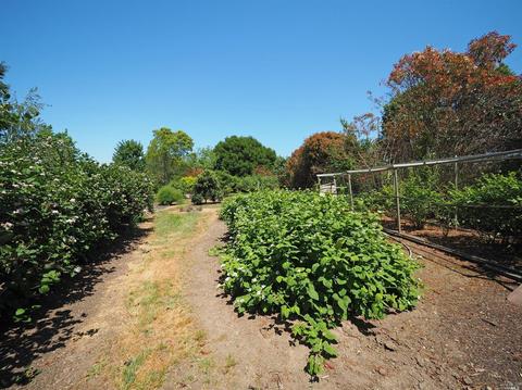6700-6702 Madrone Pl, Cotati, CA 94931 photo 41