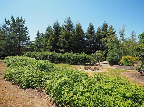 6700-6702 Madrone Pl, Cotati, CA 94931 photo 40
