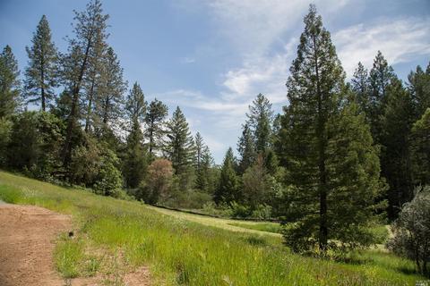 39 Goodwells Ave, Angwin, CA 94508 photo 13