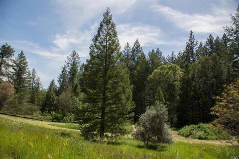 39 Goodwells Ave, Angwin, CA 94508 photo 16