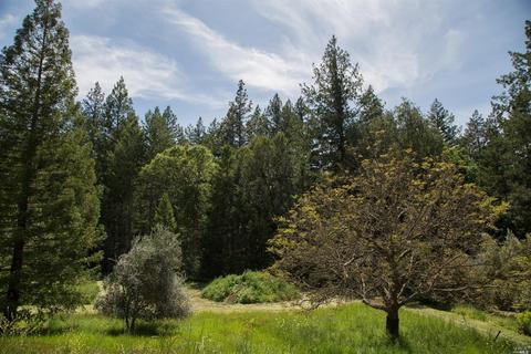 39 Goodwells Ave, Angwin, CA 94508 photo 14