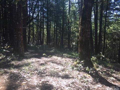 22915 Ridge Rd, Willits, CA 95490 photo 1