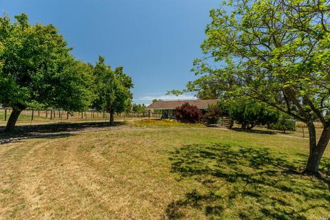 70 Lynch Rd, Petaluma, CA 94954 photo 44