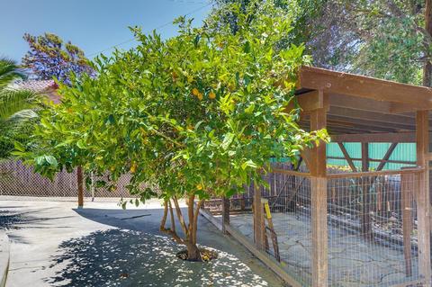 117 Bayview Ave, Vallejo, CA 94590 photo 27