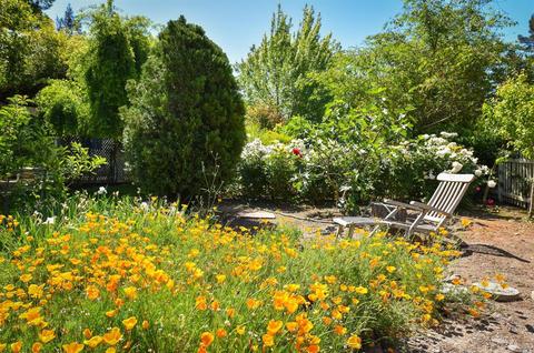 2464 N 3rd Ave, Napa, CA 94558 photo 43