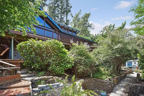 56 Spring Rd, Lagunitas, CA 94938 photo 28