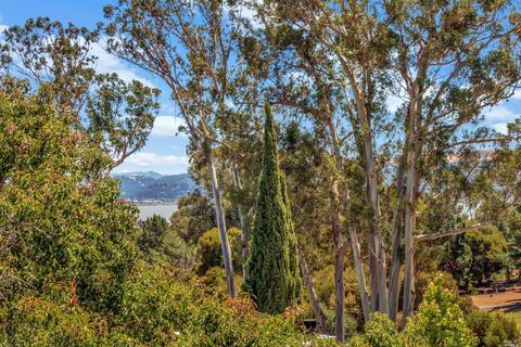 118 Mountview Ter, Benicia, CA 94510 photo 18