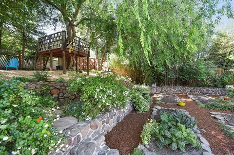 17 Vasco Dr, Mill Valley, CA 94941 photo 21