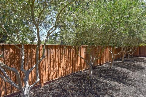 1179 5th St E, Sonoma, CA 95476 photo 29