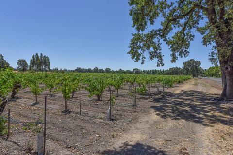 1179 5th St E, Sonoma, CA 95476 photo 35