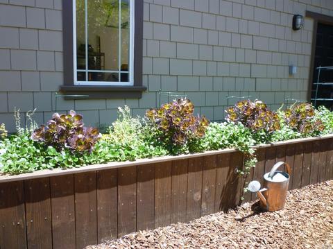 402 Saunders Dr, Sonoma, CA 95476 photo 30