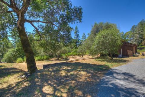 33500 Annapolis Rd, Annapolis, CA 95412 photo 22