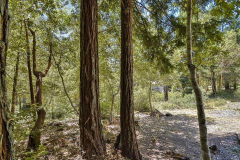 2244 Primrose Dr, Willits, CA 95490 photo 36