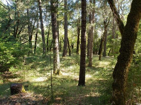 4800 Hearst Willits Rd, Willits, CA 95490 photo 12