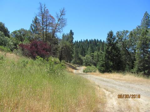 4800 Hearst Willits Rd, Willits, CA 95490 photo 6
