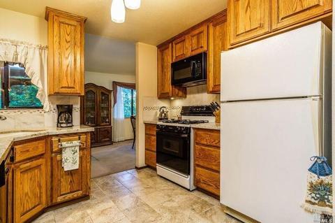 4600 Blue Lake Rd, Willits, CA 95490 photo 9