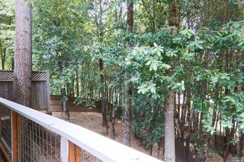 25189 Blue Jay Pl, Willits, CA 95490 photo 25