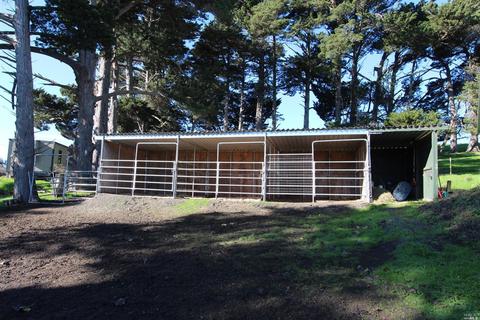 2016 Fallon Rd, Petaluma, CA 94952 photo 20